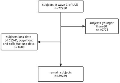 Association between the domestic use of solid cooking fuel and increased prevalence of depression and cognitive impairment in a big developing country: A large-scale population-based study